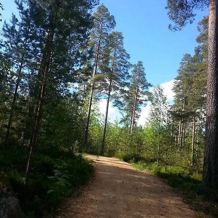 Kunnonlaehde Kankaanpaa